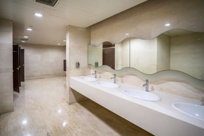 Elegant Master Bathroom Remodels